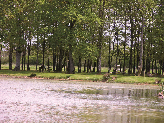 Plan d'eau - Ligné (44)