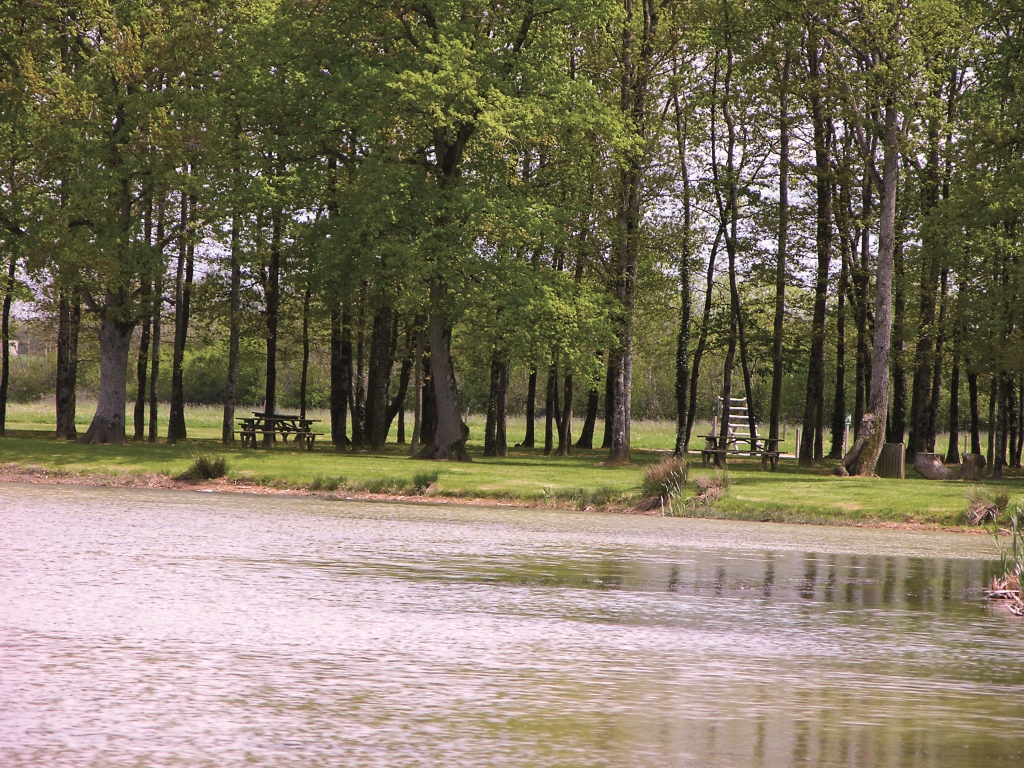 Les jardins des fauvettes